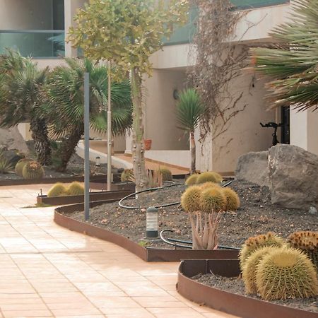 Casa Aloe Vera Cotillo Exterior foto